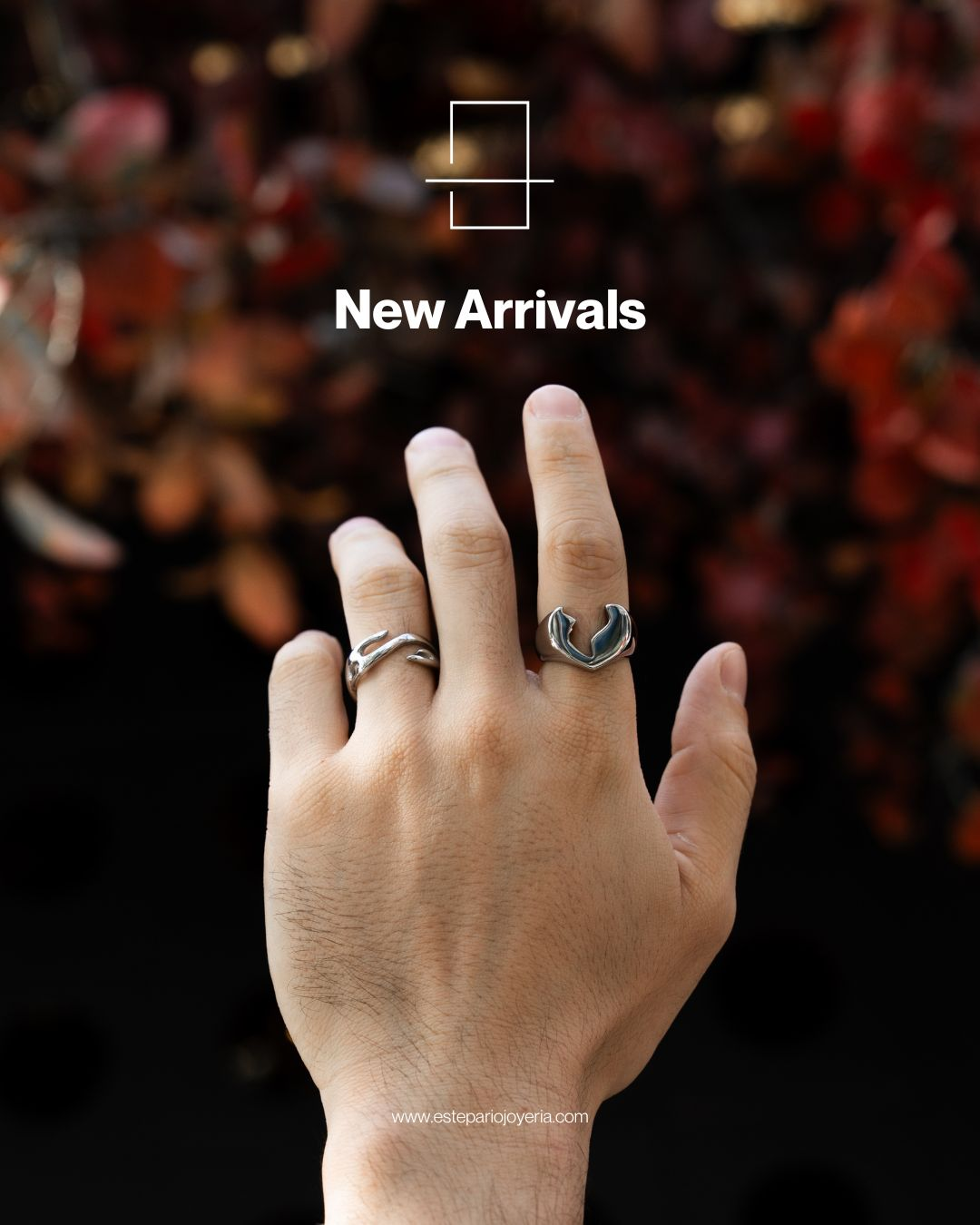 Nuevo Drop - Septiembre 2025