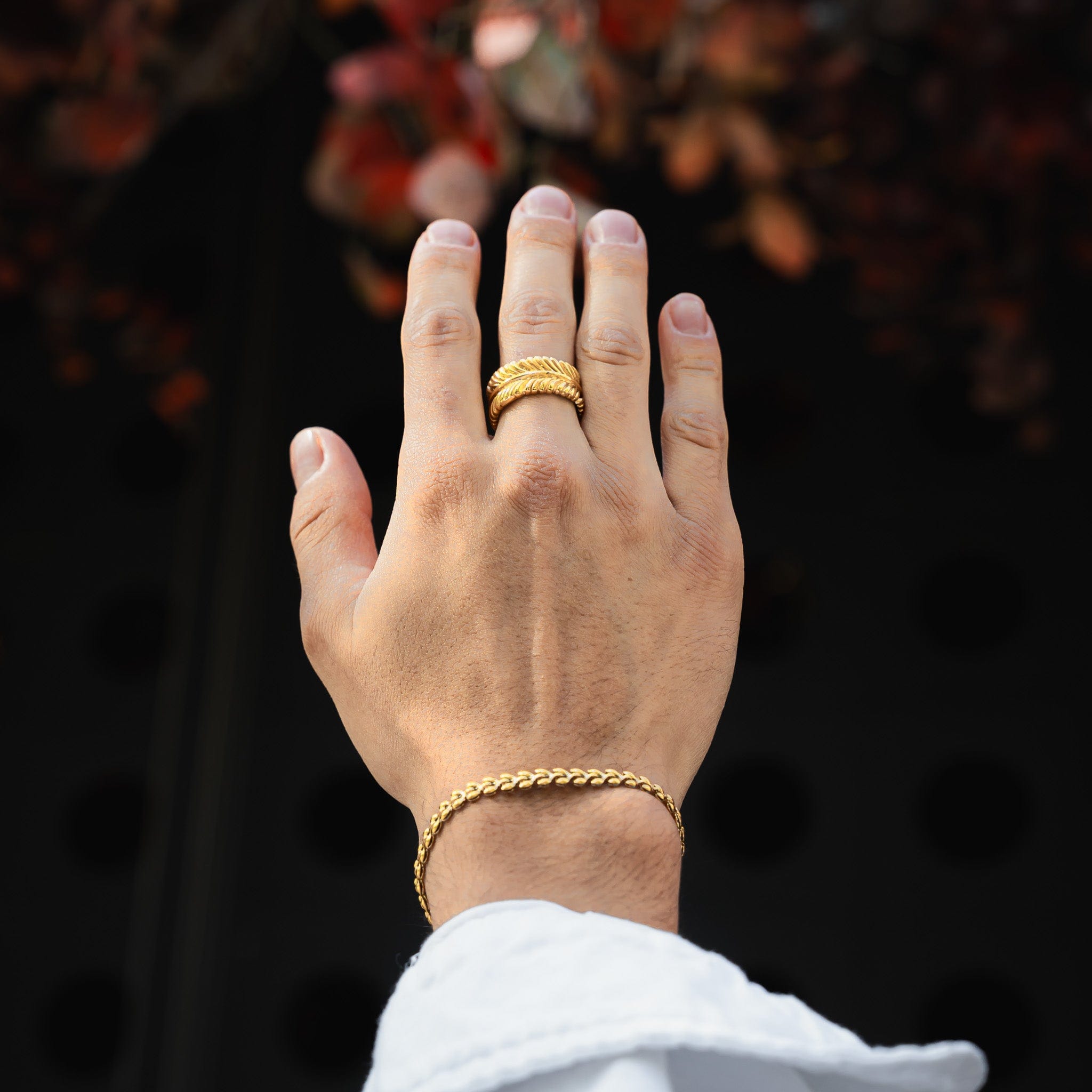 Anillos Heir Heir joyeria mexico