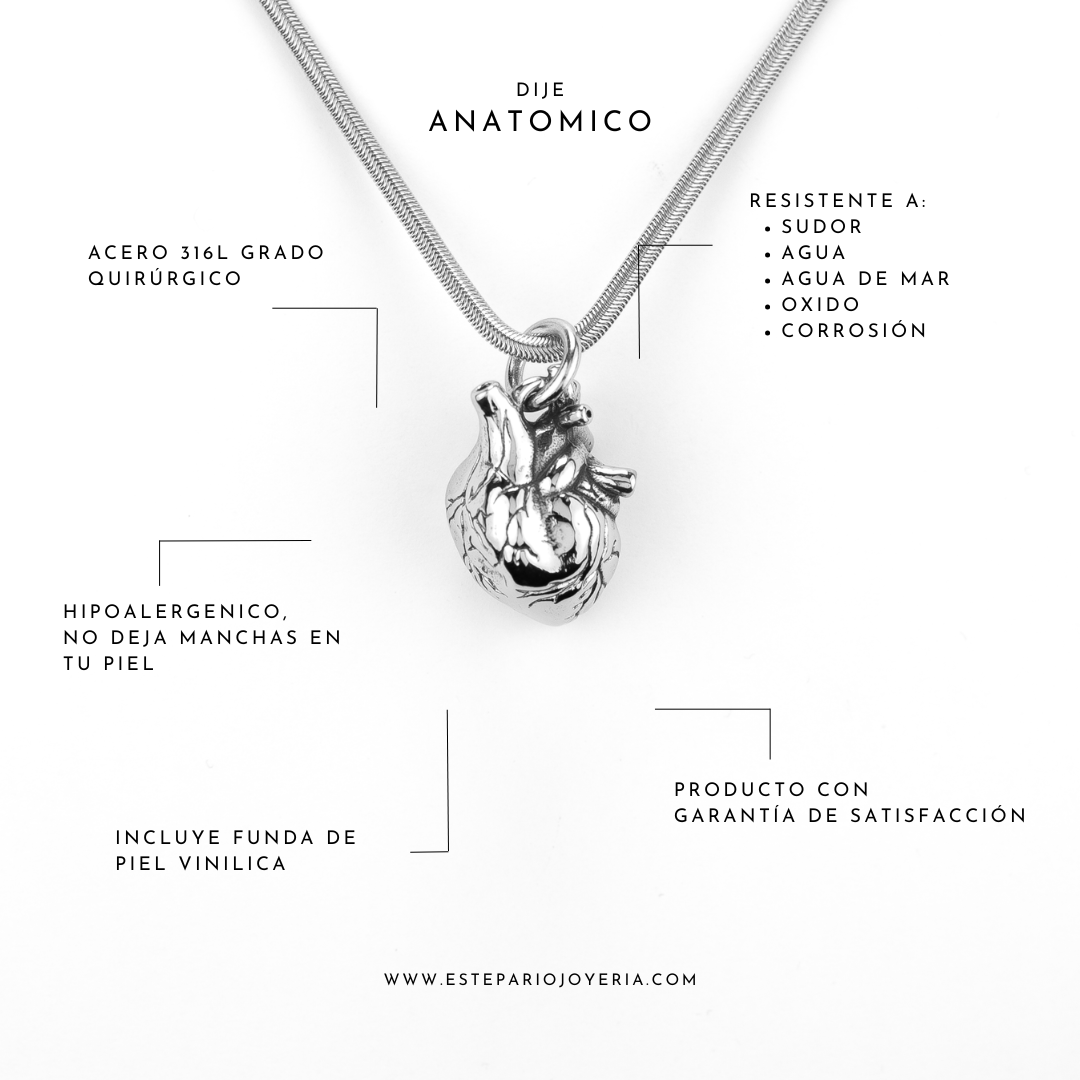 Collares Anatomico Anatomico joyeria mexico