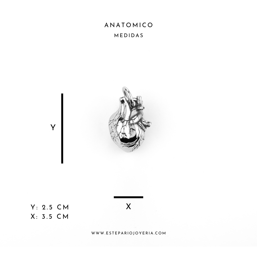 Collares Anatomico Anatomico joyeria mexico