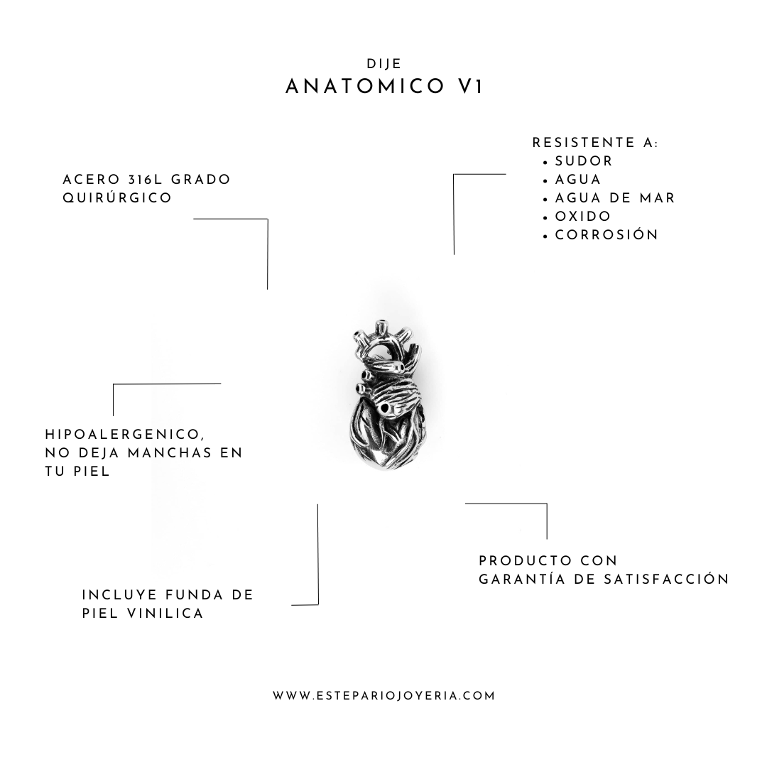 Collares Anatómico V1 joyeria mexico