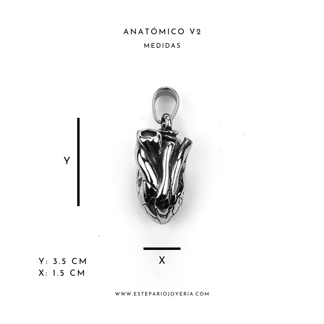 Collares Anatómico V2 joyeria mexico