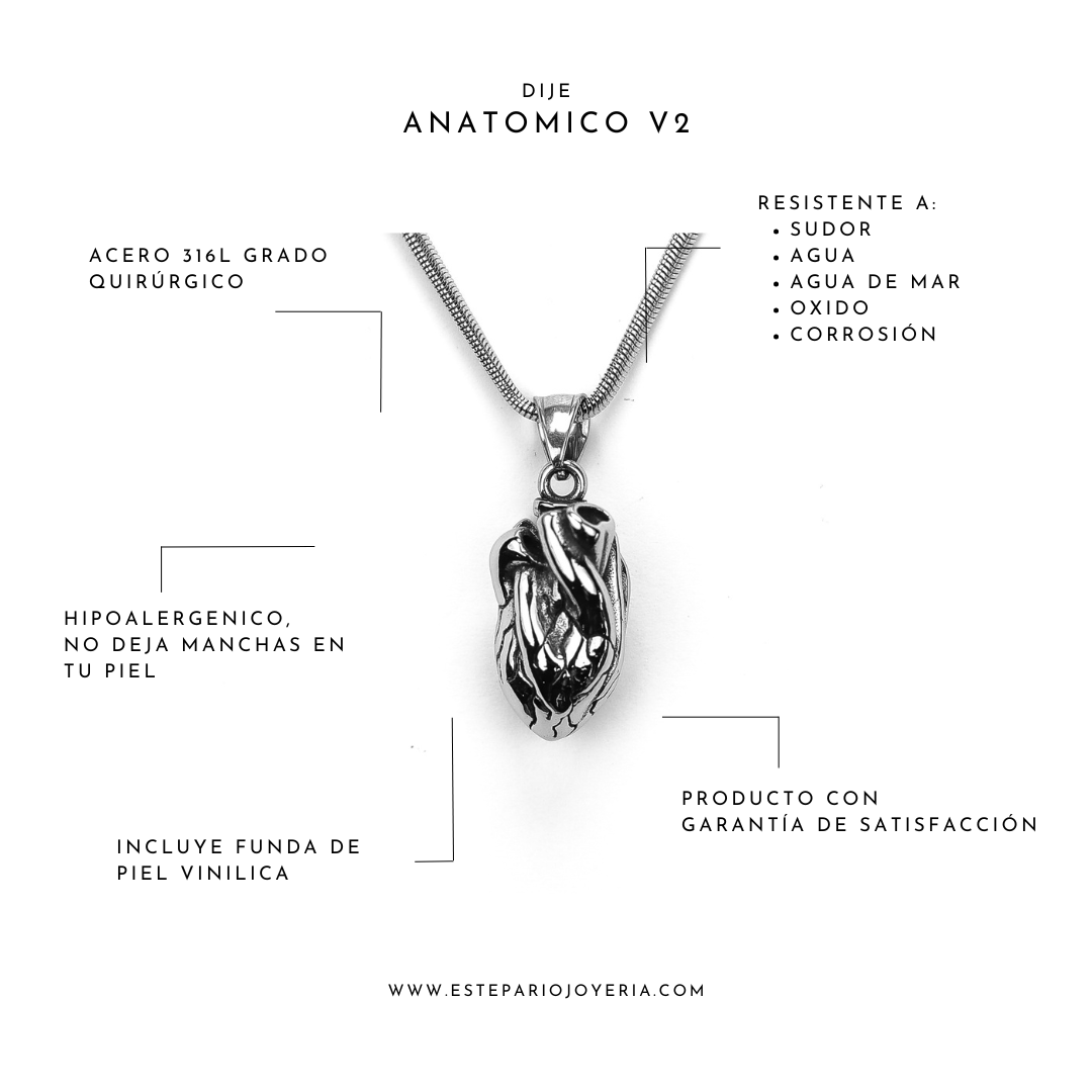 Collares Anatómico V2 joyeria mexico