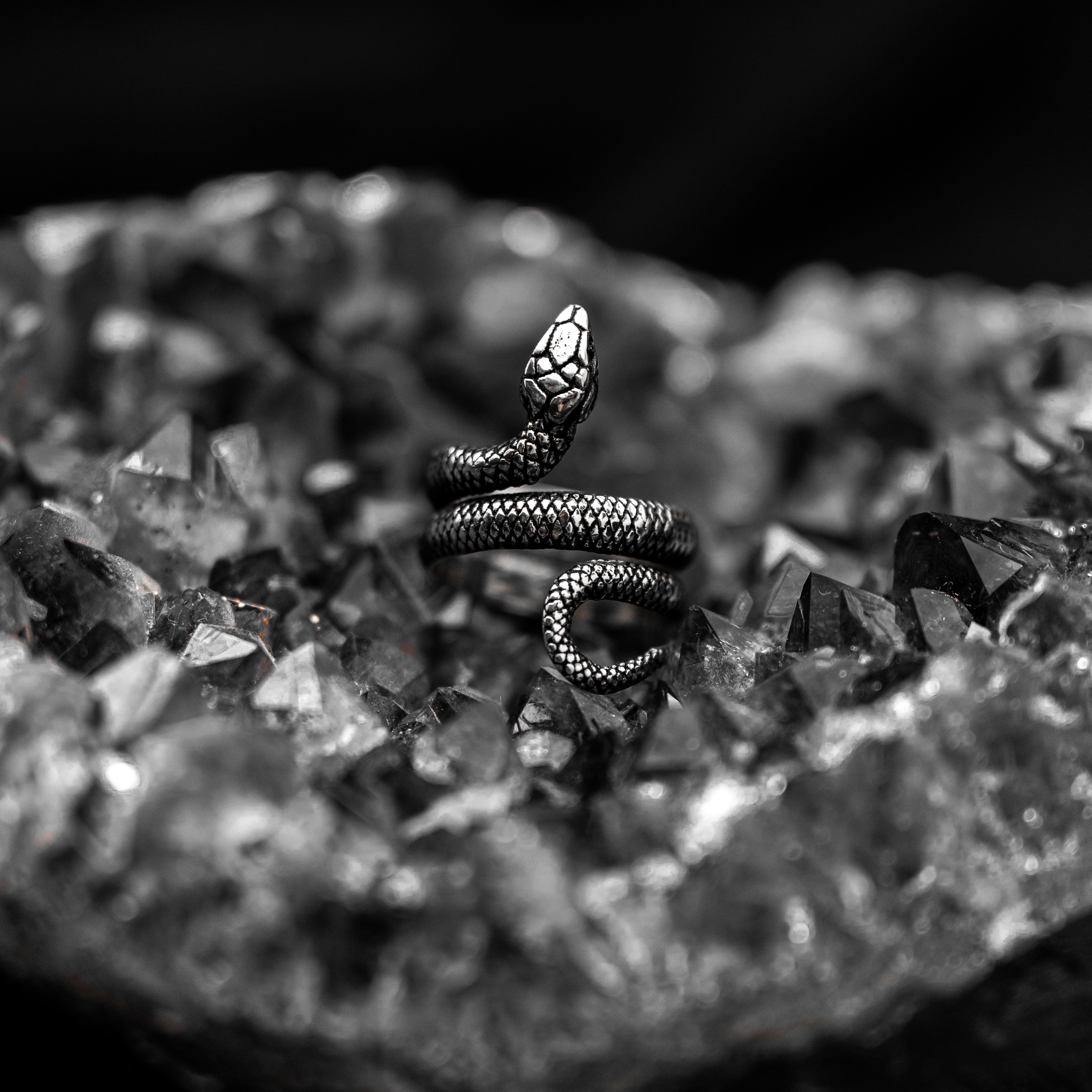 Anillos Serpiente Burmes joyeria mexico